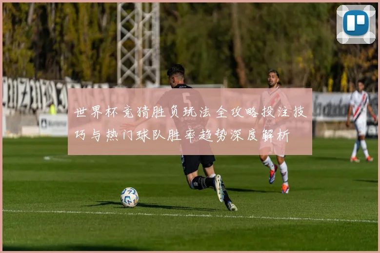 世界杯竞猜胜负玩法全攻略投注技巧与热门球队胜率趋势深度解析