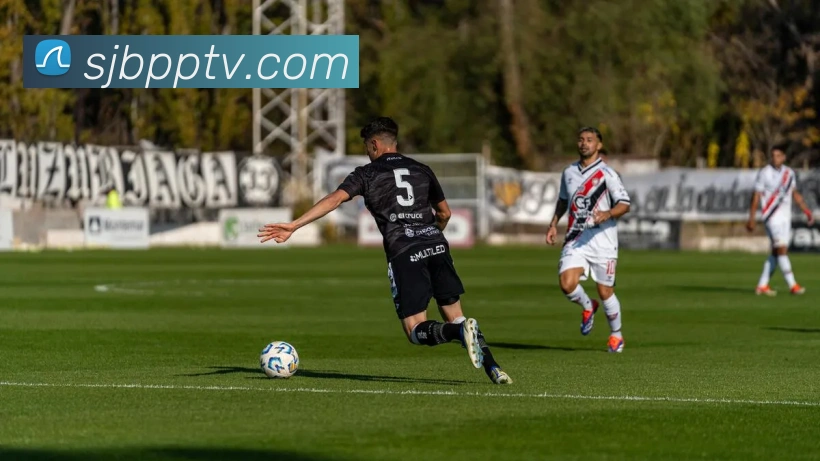 开云平台生态图